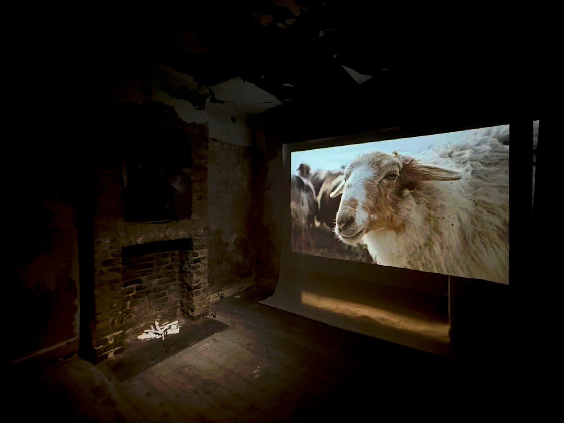 Borrowed Silence installation
