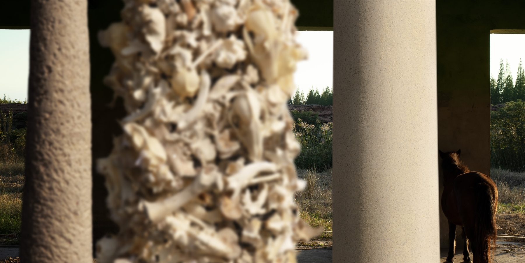 Central Axis detail